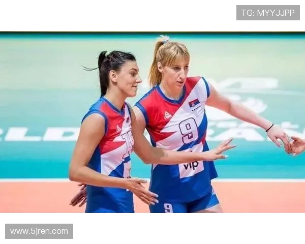 成都排球队灵活性引发热议球迷与专家观点交锋分析