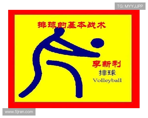 重庆排球队进攻体系解析与战术创新探讨