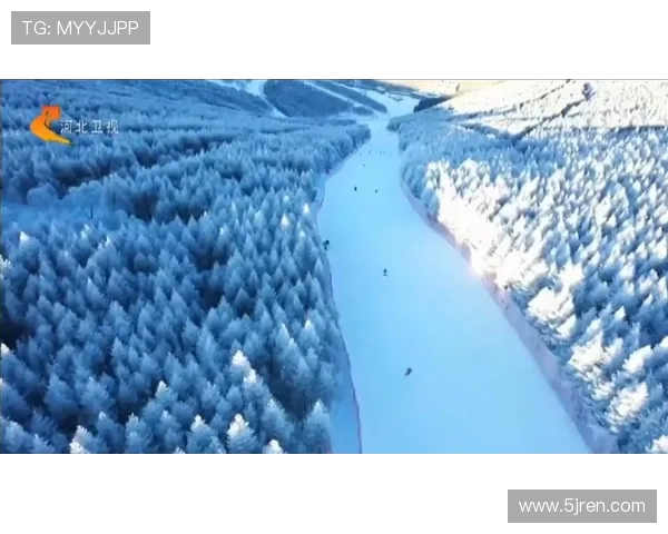 河北对阵国安精彩直播视频全程回顾与赛后分析尽在此处